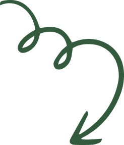 section arrow